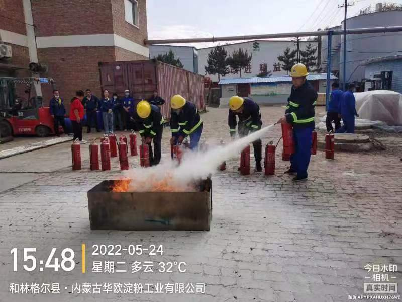 内部精准30码