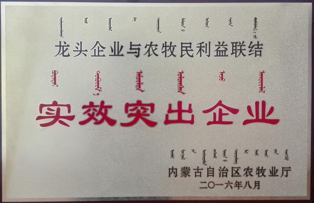 内部精准30码