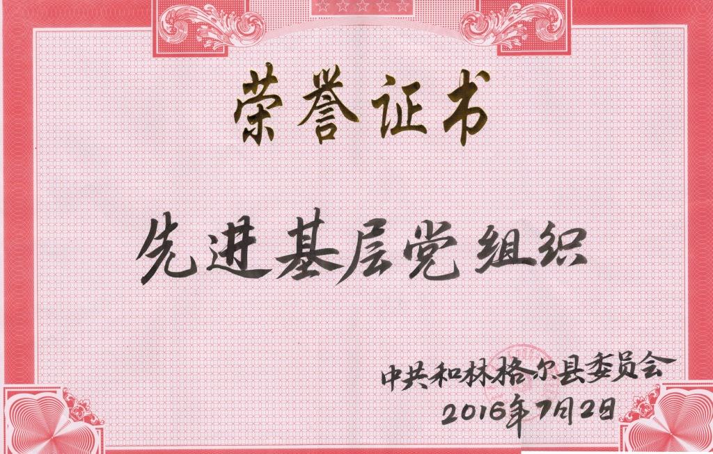 内部精准30码